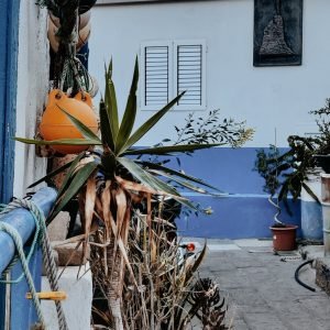 Gran Canaria 2023 (136)