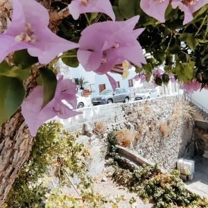 Gran Canaria 2023 (83)