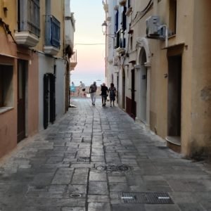 Lecce - Premio Calandra 2023 (1)