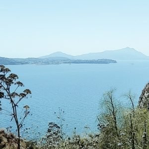 Monte di Procida (1)